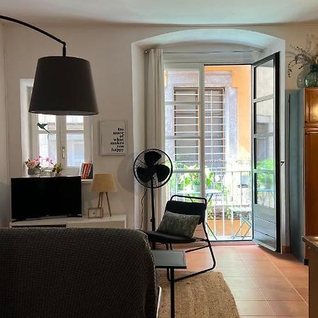 Apartamento Con Encanto Y Terraza En Barri Vell De Girona, El Cul De La Lleona المظهر الخارجي الصورة