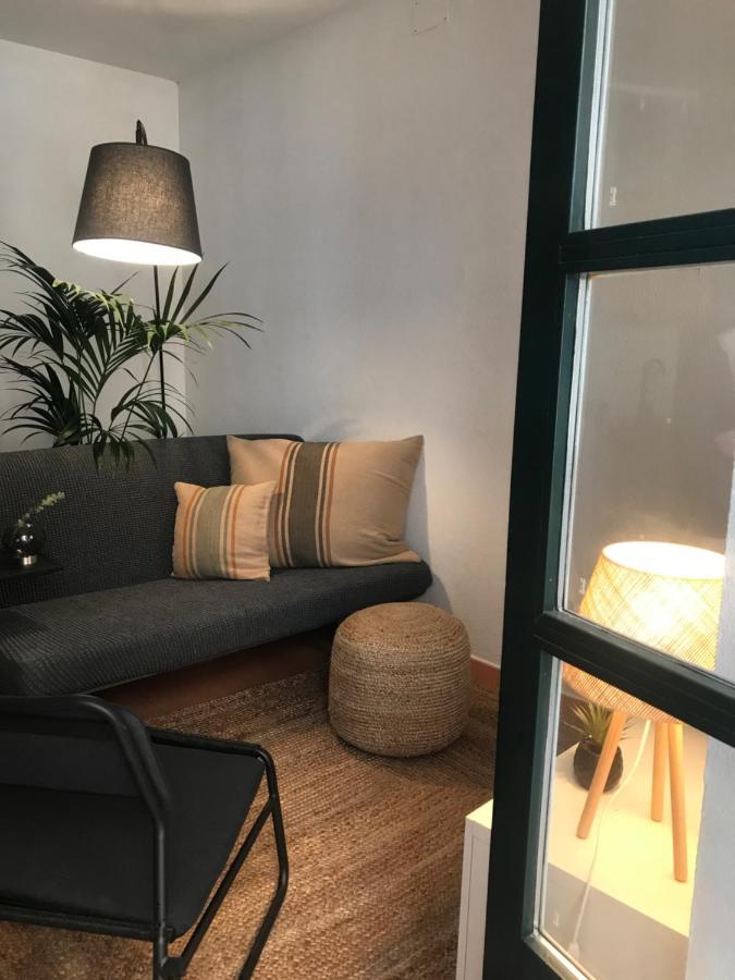 Apartamento Con Encanto Y Terraza En Barri Vell De Girona, El Cul De La Lleona المظهر الخارجي الصورة