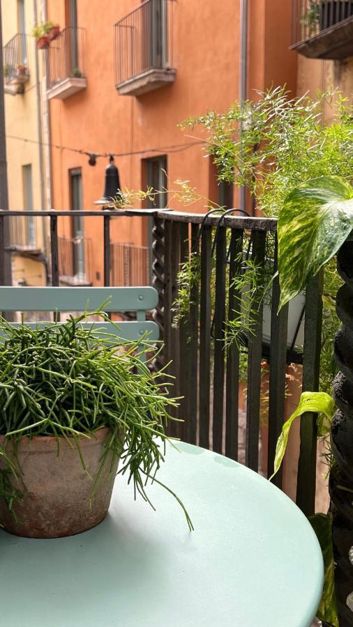 Apartamento Con Encanto Y Terraza En Barri Vell De Girona, El Cul De La Lleona المظهر الخارجي الصورة