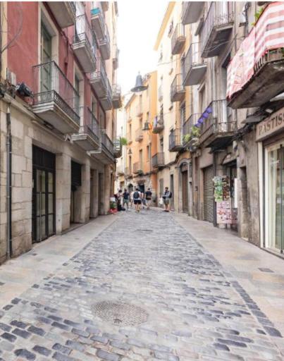 Apartamento Con Encanto Y Terraza En Barri Vell De Girona, El Cul De La Lleona المظهر الخارجي الصورة